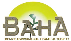 Belize Agricultural Health Authority (BAHA)