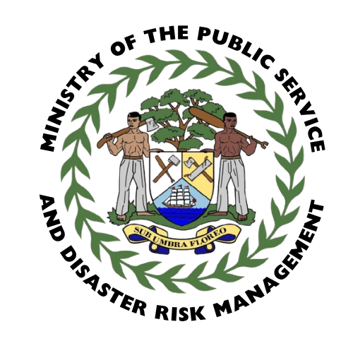 MPSGDRM